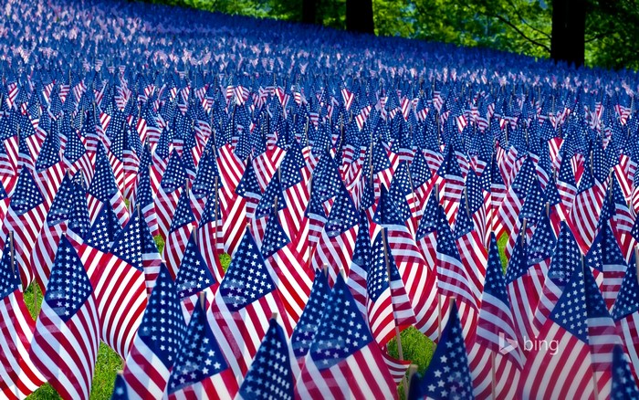 Field of American Flags
