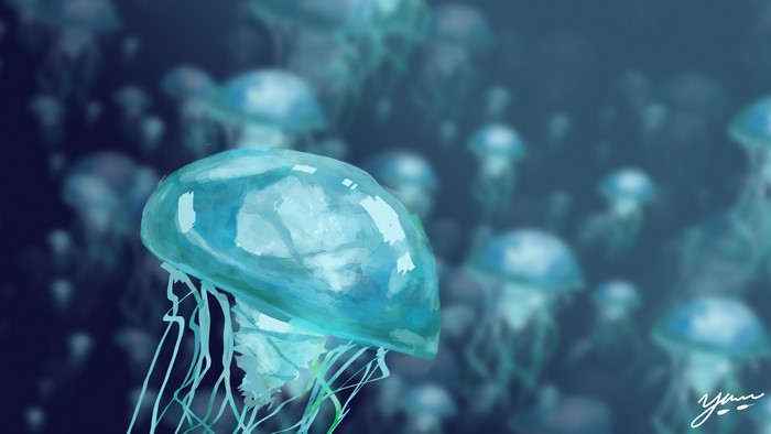 4K Jellyfish Underwater World