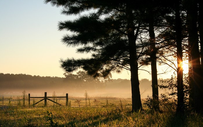 Sunrise over a misty field with trees and a fence