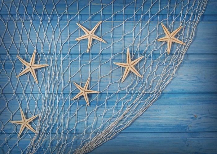 Starfish on a fishing net over blue wooden planks