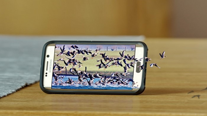 Samsung Galaxy S6 Edge displaying flock of geese in flight