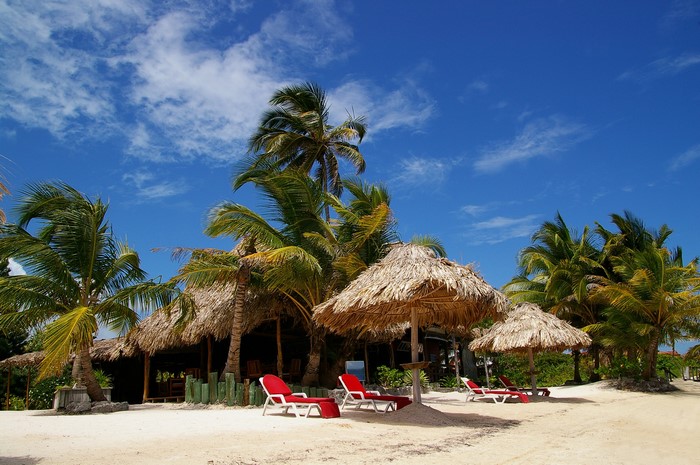 Tropical beach with palm trees and sunloungers