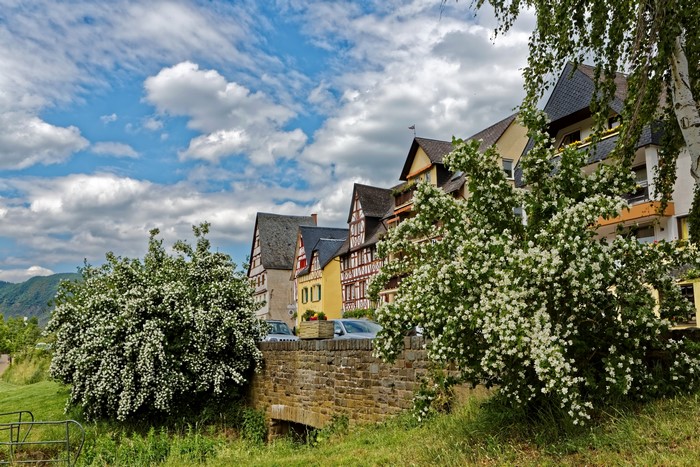 4K Germany Houses with Flowering Trees in Spring