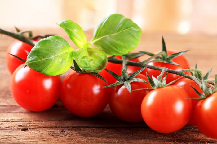 Cherry tomatoes on the vine with basil