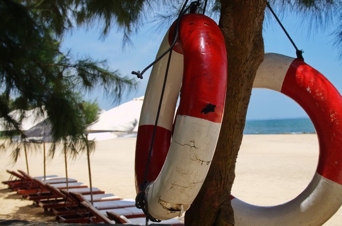 Life preservers hanging on a tree at the beach