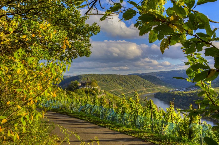 Vineyards and River in Germany