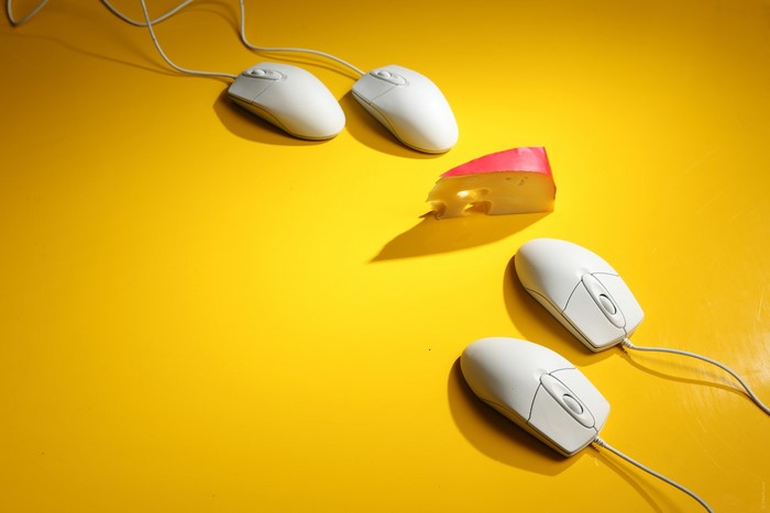 Computer mice and a slice of cheese on a yellow surface