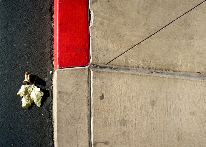Leaf on asphalt next to red curb and concrete sidewalk