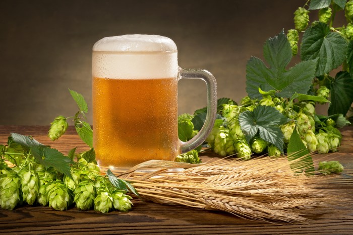Beer mug with hops and wheat