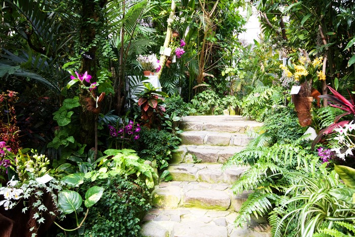 Fukuoka Botanical Garden Orchid Stairs
