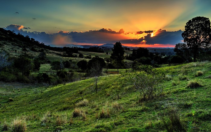 Sunset over rolling green hills with trees