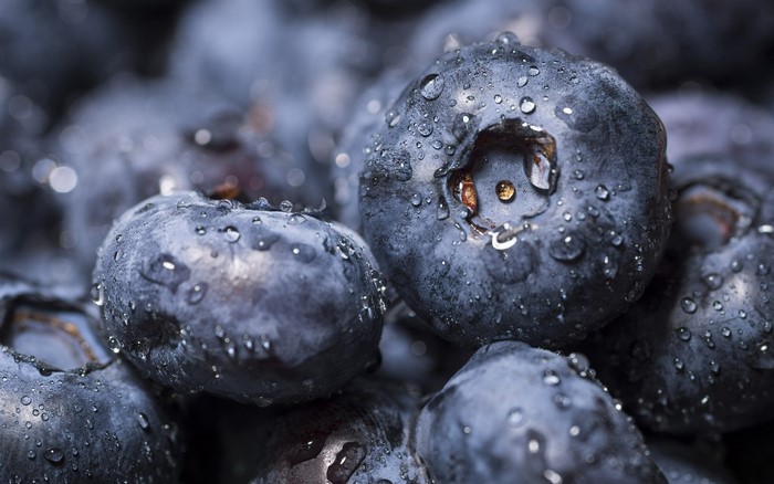 Close-up of wet blueberries
