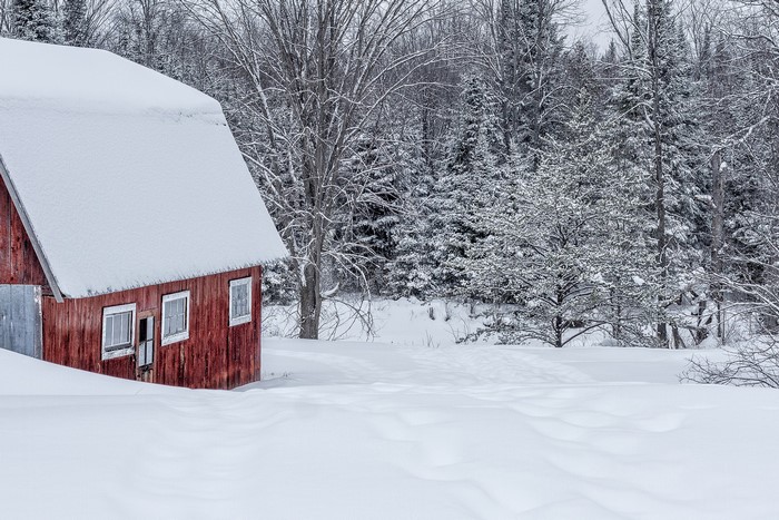 Red barn in a snowy forest landscape