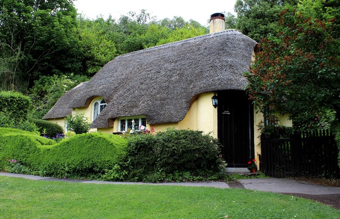 Thatched cottage in Holnicote, England with garden