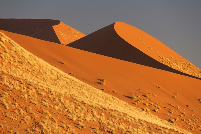 Sand dunes in Namibia with sparse vegetation