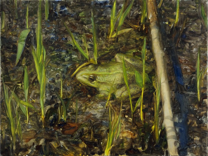 Frog in the Reeds Painting