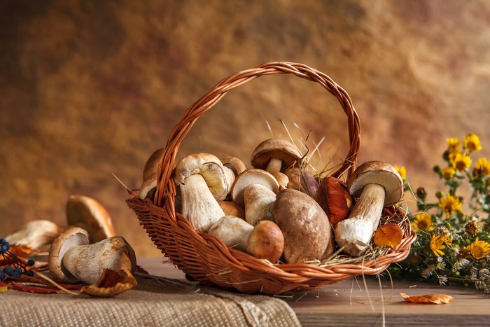 Mushrooms in a wicker basket