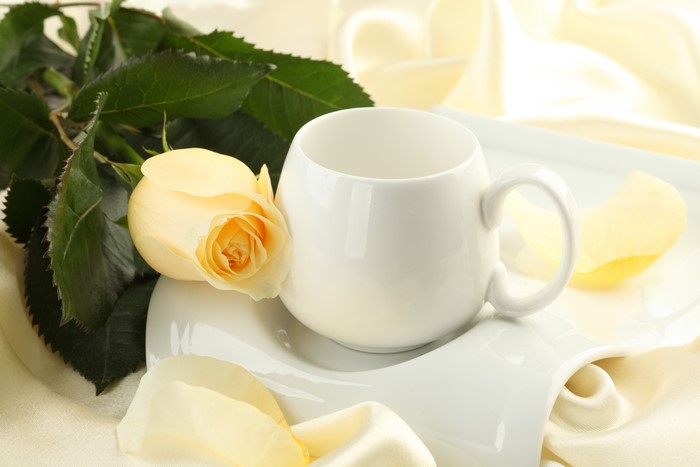 White cup with a yellow rose and petals