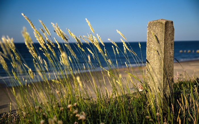Grass and stone post by the sea
