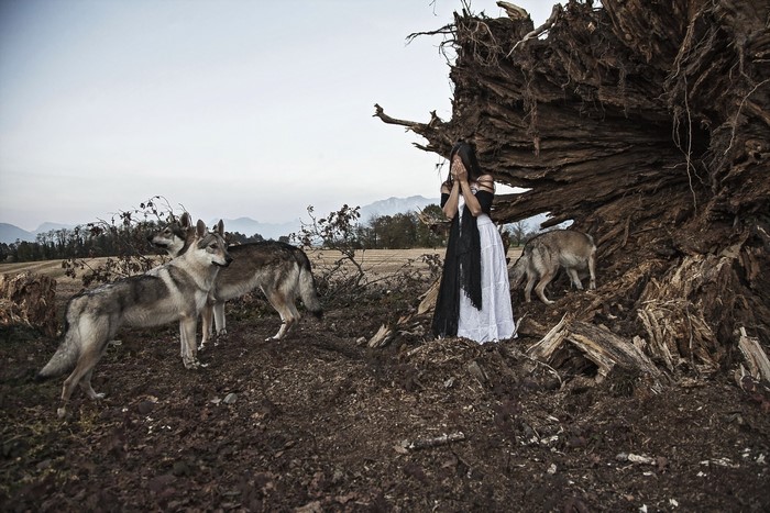 Girl with wolves near fallen tree