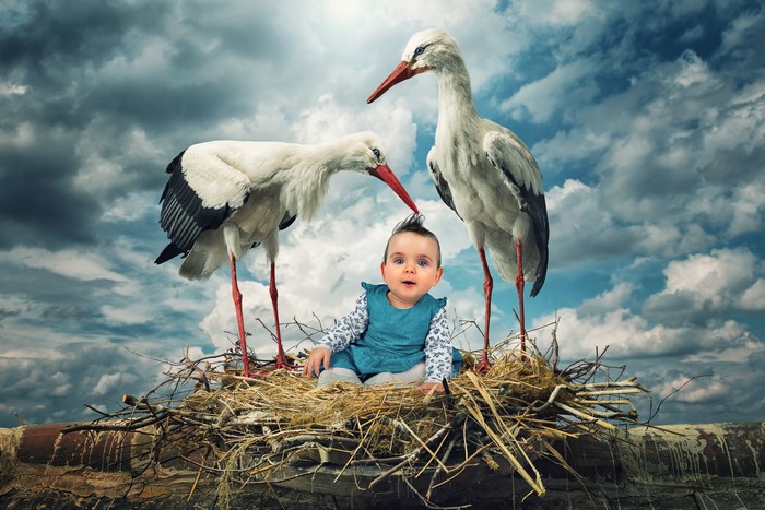 Baby in a nest with storks