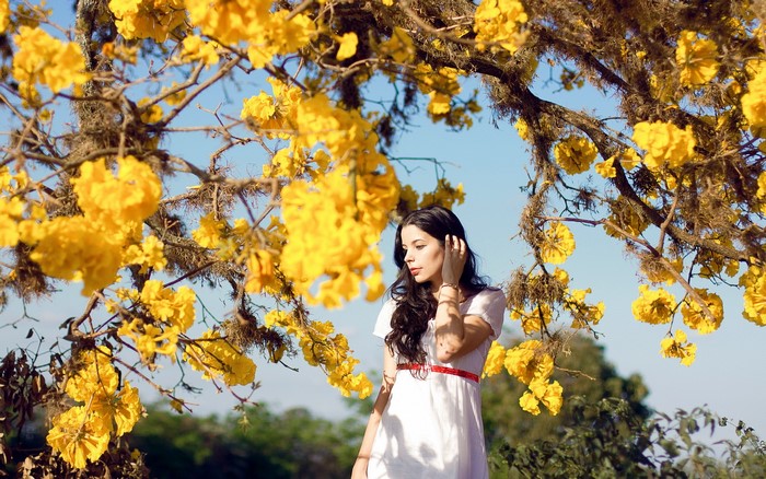 Brunette girl in white dress under yellow flowering tree