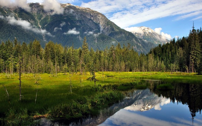 Mountain Lake and Forest Scenery