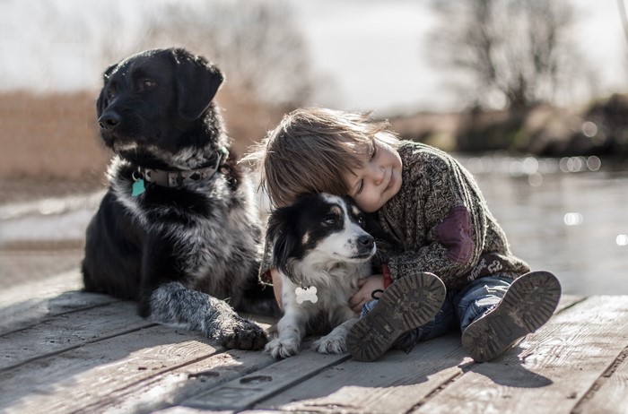 Boy hugging a dog with another dog nearby