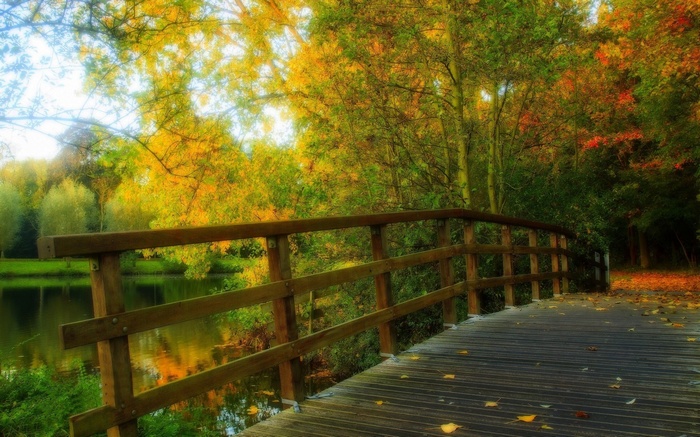 Wooden bridge over a lake in autumn