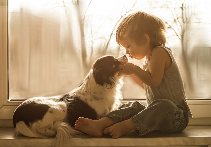 Boy and dog by the window