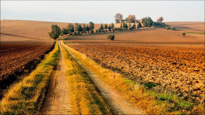 Dirt road through cultivated fields in the countryside