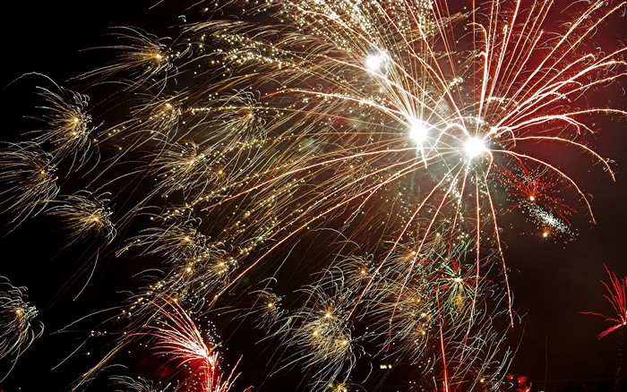 Fireworks exploding in the night sky