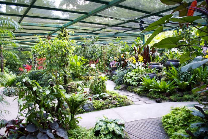 Greenhouse with exotic plants and flowers