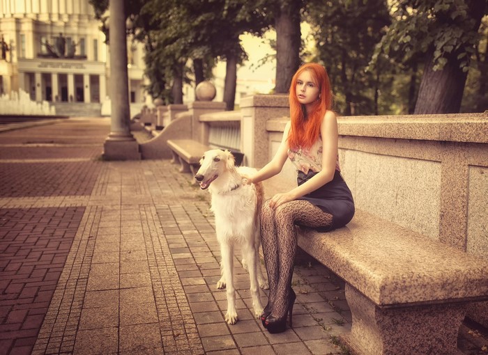 Redhead girl with Borzoi dog on a bench