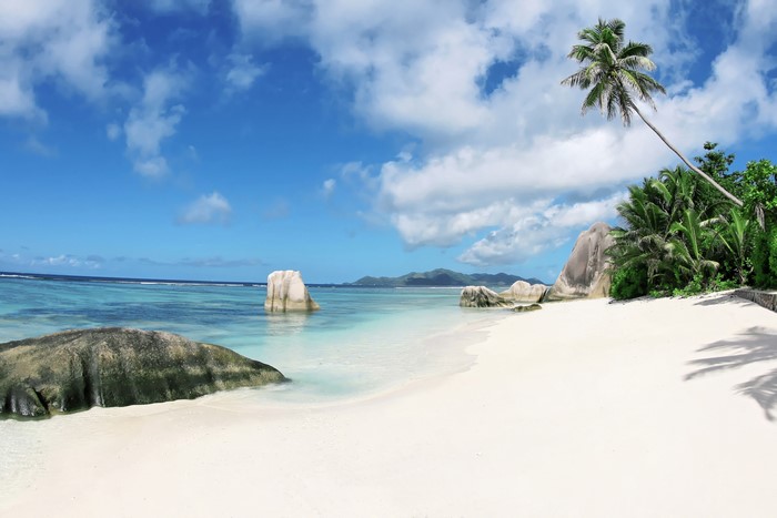 Tropical beach with palm trees and granite boulders