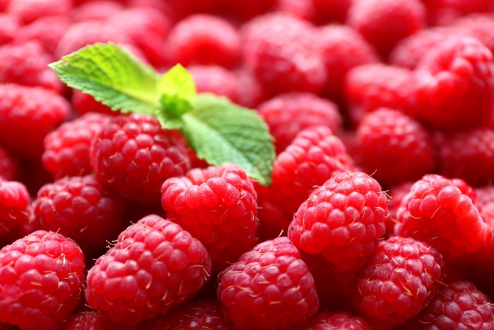 Raspberry Closeup with Mint Leaf