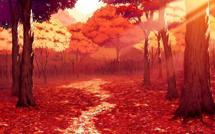 Autumn forest with fallen leaves and sunlight