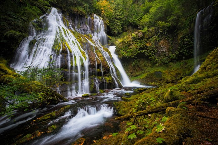 Waterfalls Forests Moss