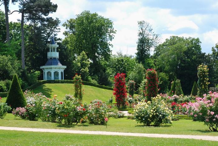 Bagatelle Rose Garden in Paris, France