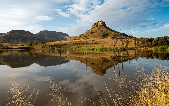 Mountain landscape reflected in a lake with dead trees