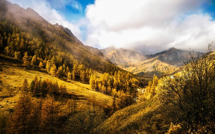 Autumn mountain valley with golden trees and clouds