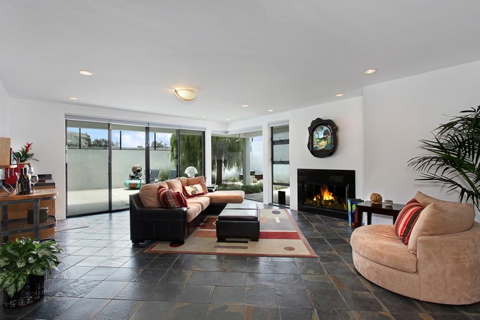 Living room with fireplace and sofa