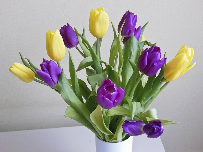 Bouquet of yellow and purple tulips in a white vase