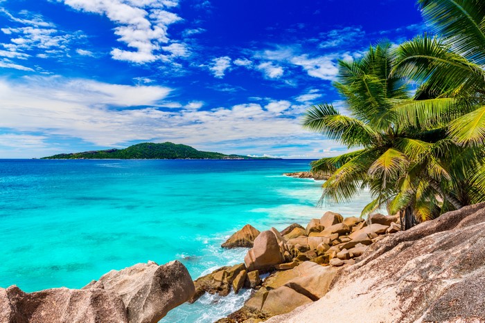 Tropical beach with palm trees and island