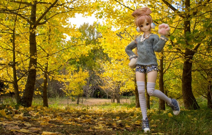 Doll in Autumn Forest