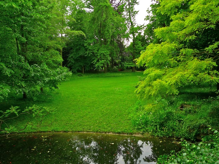 Albert-Kahn Japanese gardens France Parks Lawn Trees