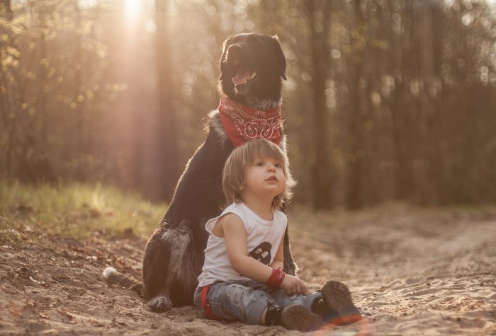 Boy and Dog Sitting in Forest