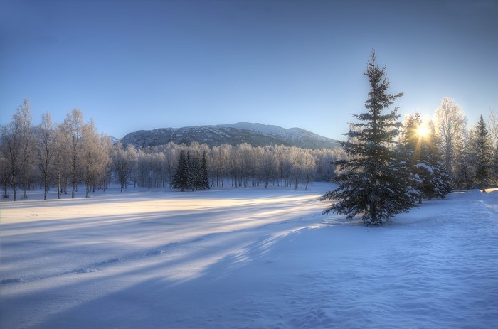 Winter landscape with sunlit trees and mountains