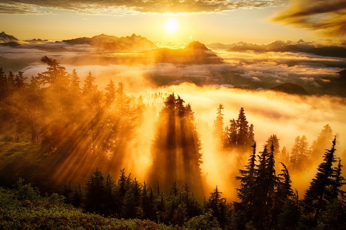 Golden Sunrise Over Misty Mountain Forest