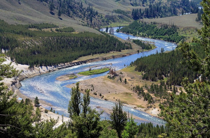 River flowing through a forested valley